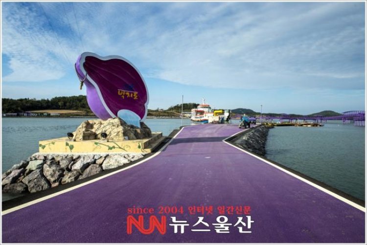 전남 신안 퍼플섬