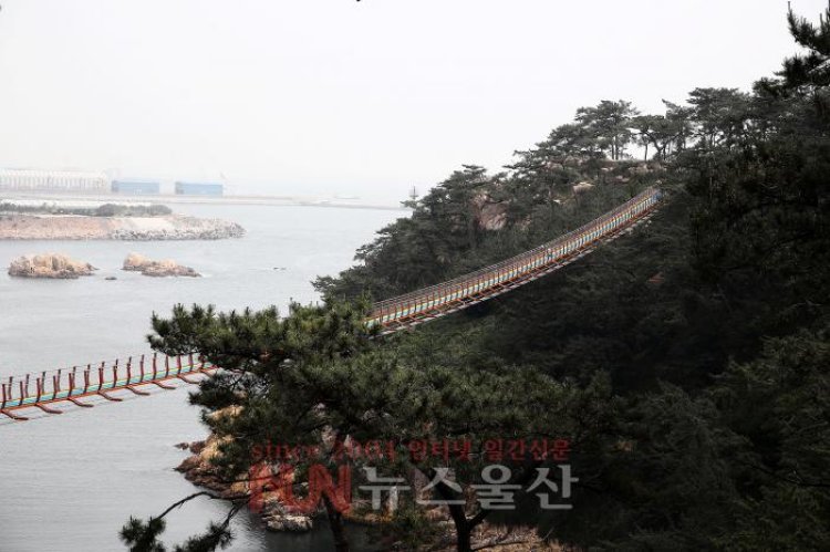 모습 드러낸 대왕암 출렁다리
