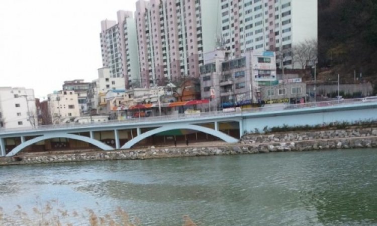 십리대밭제방뚝에 소주병마구버려