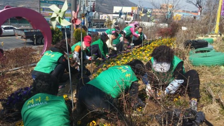 농소2동 새마을 협의회 부녀회 초화류 식재