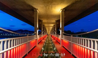 태화강국가정원교 은하수 다리