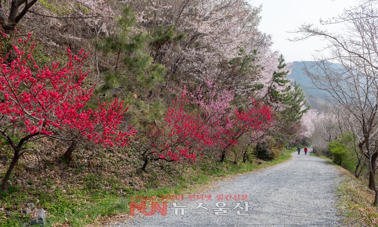 진해 드림로드