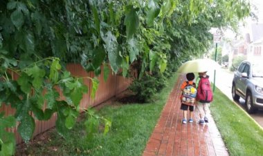 오늘처럼 비가 내리면....