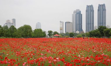 ‘2024 태화강 국가정원 봄꽃축제’ 개최