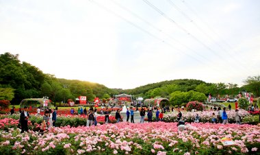 2024 울산대공원 장미축제 개막