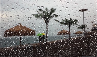 바닷가의 두 여인