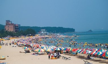 울주군 진하해수욕장, 28일 개장