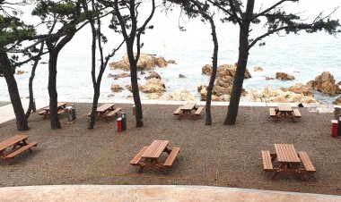동구, 주전 보밑항에 새로운 피크닉 명소 시범운영