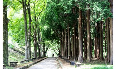 양산 법기수원지