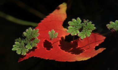 가을햇살 아래에서...