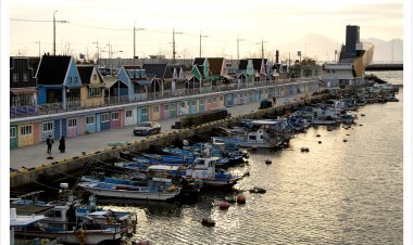 장림포구 부네치아