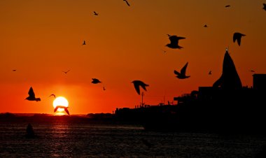 2025년 을사년 새해가 밝았다