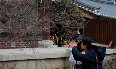 봄소식 전하는 통도사 홍 매화