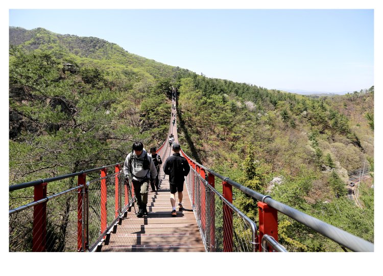 멀어서 더 특별한 봄,감악산 출렁다리