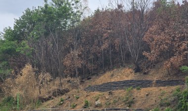 울주군, 여름철 자연재난 대비 사방시설 확충 총력
