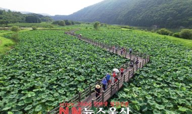 고래수 수원지, 연꽃 보며 걷는 회야댐 생태탐방  7월 15일~8월 14일 개방