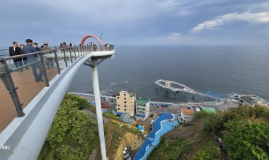 어촌마을 희로애락 고스란히 담기다 동해 논골담길을 거닐다