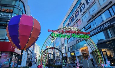 울산 남구 거리, 환상적인 겨울빛들의 향연으로 물들이다