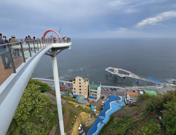 어촌마을 희로애락 고스란히 담기다 동해 논골담길을 거닐다