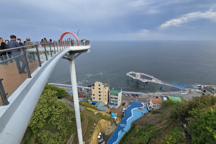 어촌마을 희로애락 고스란히 담기다 동해 논골담길을 거닐다