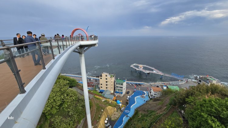 어촌마을 희로애락 고스란히 담기다 동해 논골담길을 거닐다