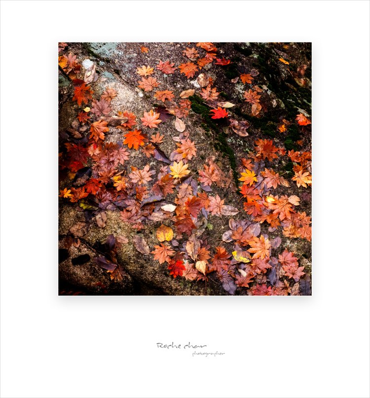 가을이 머문 흔적