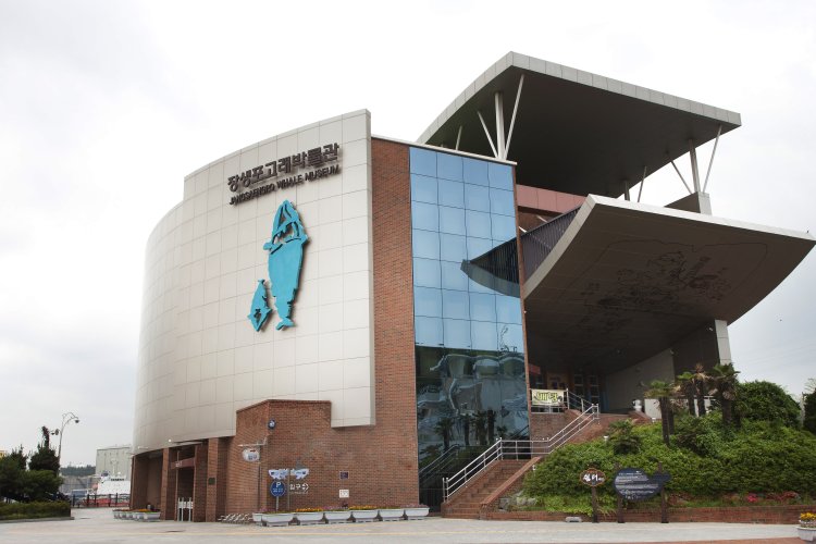 어린이날 황금연휴 장생포 고래문화특구 전역 체험·공연 이벤트 풍성