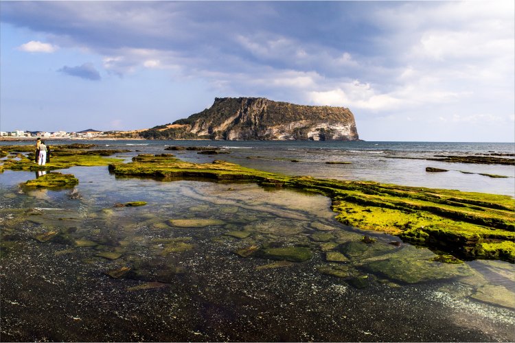 파도가 머문자리