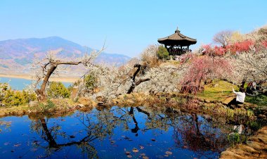 섬진강을 따라 굽이굽이 이어진 길 위로 펼쳐진 풍경은 그야말로 장관이었다