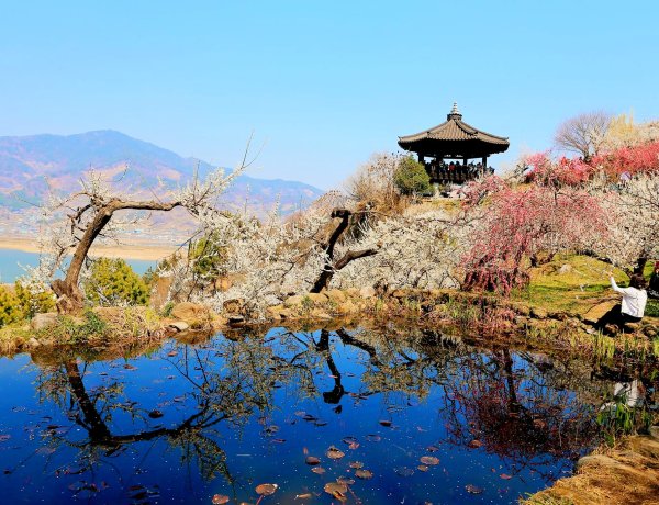 섬진강을 따라 굽이굽이 이어진 길 위로 펼쳐진 풍경은 그야말로 장관이었다