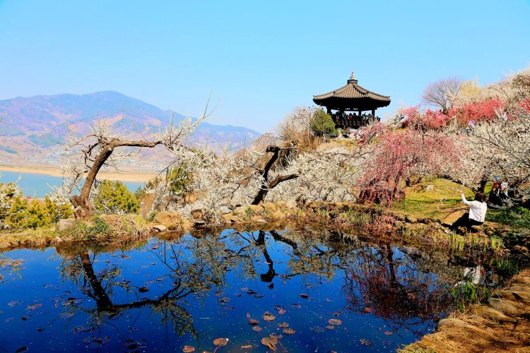 섬진강을 따라 굽이굽이 이어진 길 위로 펼쳐진 풍경은 그야말로 장관이었다