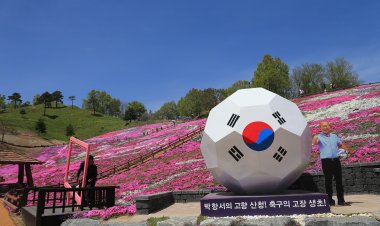 전국 최대 꽃잔디가 펼치는 진분홍 향연 '눈부신 봄맞이'