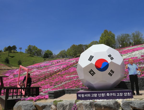 전국 최대 꽃잔디가 펼치는 진분홍 향연 '눈부신 봄맞이'