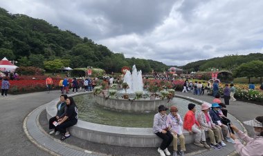 “울산대공원 장미축제 성황리 막내려”