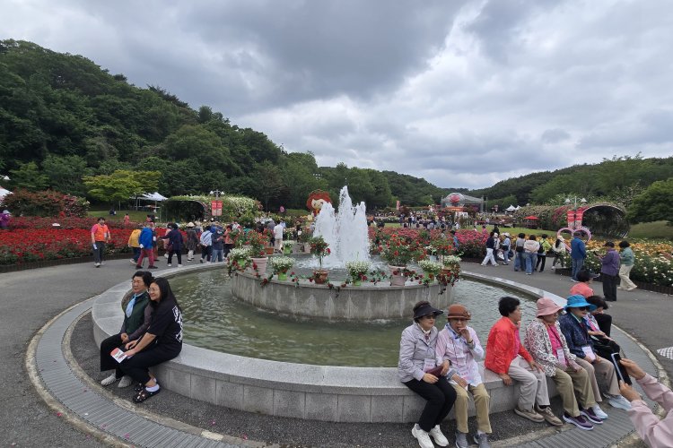 “울산대공원 장미축제 성황리 막내려”