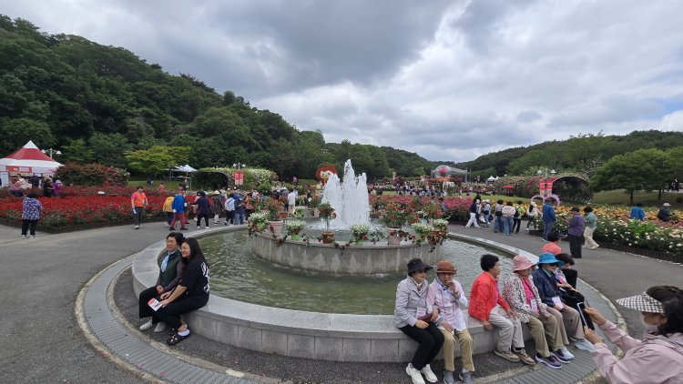 “울산대공원 장미축제 성황리 막내려”