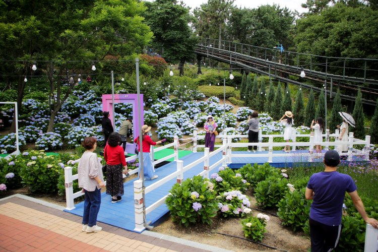 남구 제5회 수국 페스티벌 성공 개최 최종 행정지원 보고회 개최