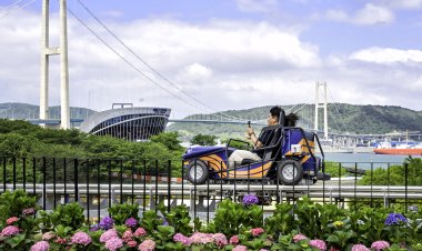 찍고, 달리고, 날고!’.. 2026 장생포 수국축제, 역대급 ‘오감 만족’ 예고