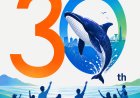 제30회 울산고래축제 ‘시민 참여 퍼레이드’ 참가팀 모집
